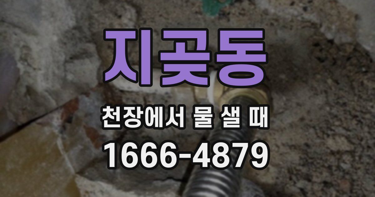 지곶동 천장에서 물 샐 때