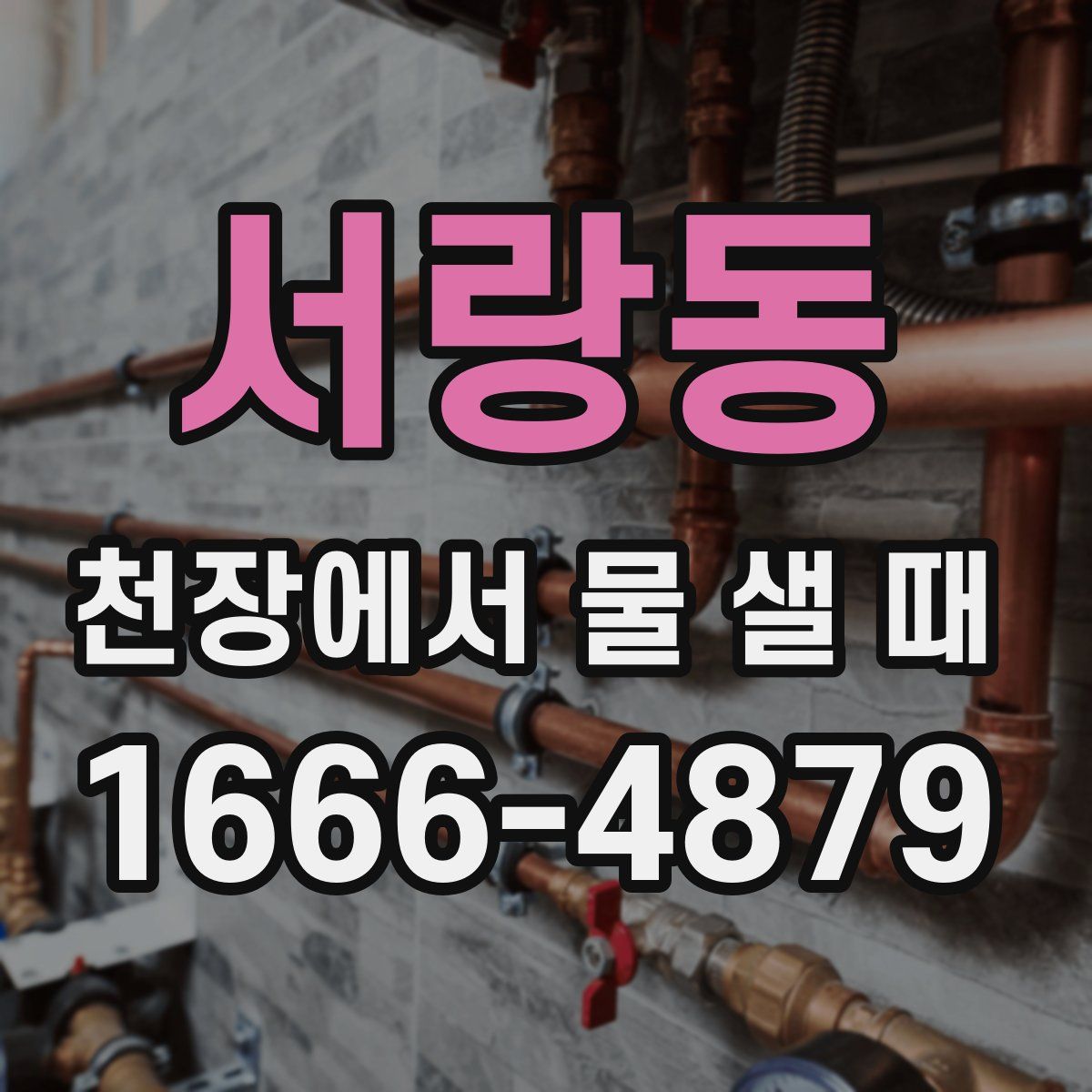 서랑동 천장에서 물 샐 때