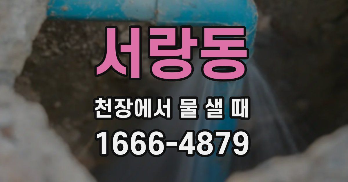 서랑동 천장에서 물 샐 때