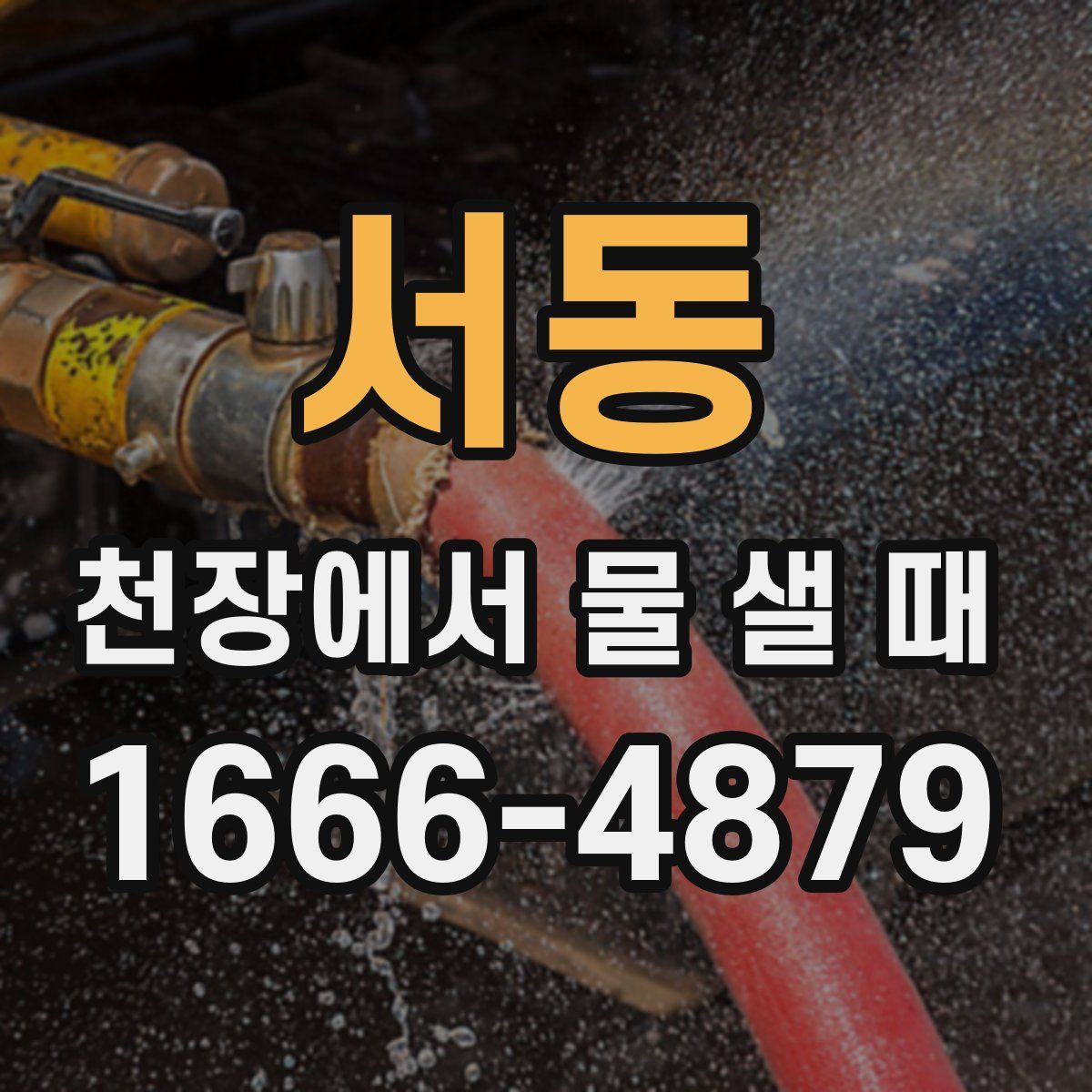 서동 천장에서 물 샐 때