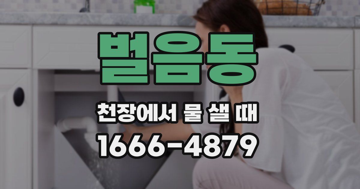 벌음동 천장에서 물 샐 때