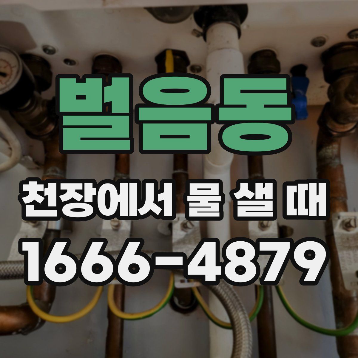벌음동 천장에서 물 샐 때