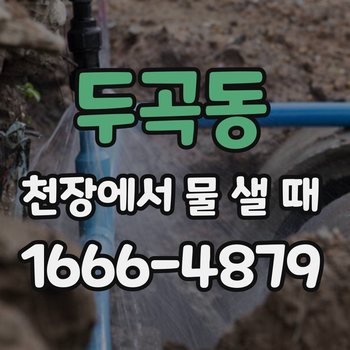 두곡동 천장에서 물 샐 때