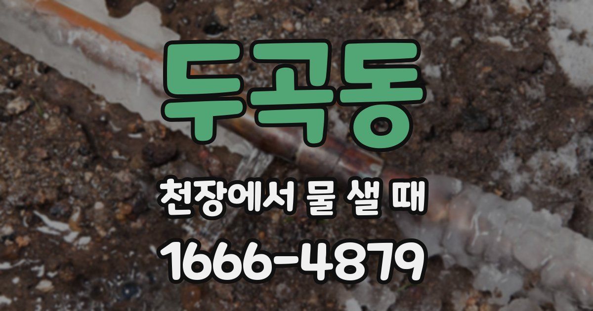 두곡동 천장에서 물 샐 때