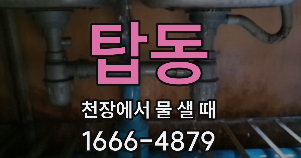 탑동 천장에서 물 샐 때