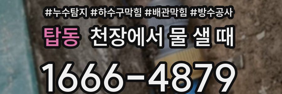 탑동 천장에서 물 샐 때