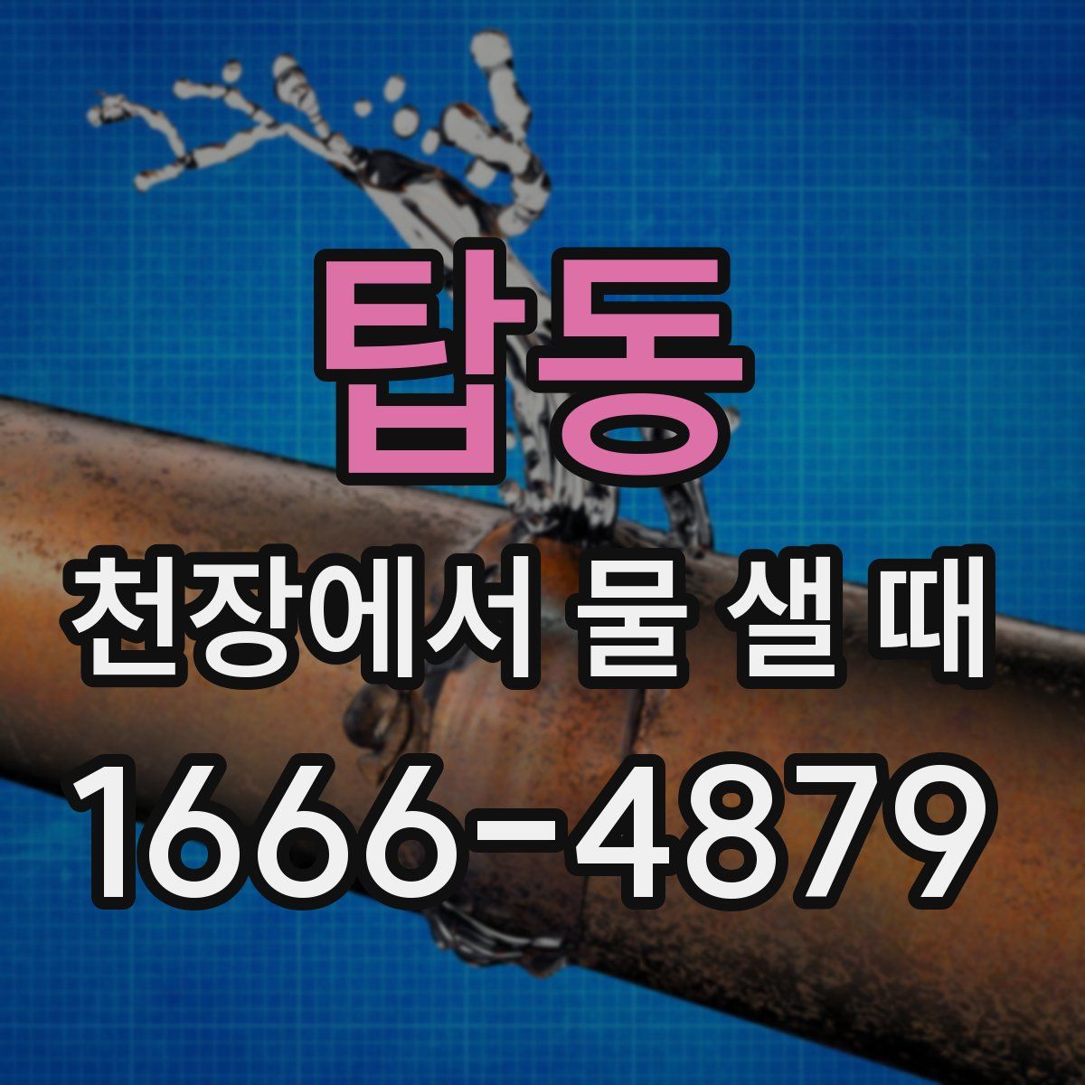 탑동 천장에서 물 샐 때