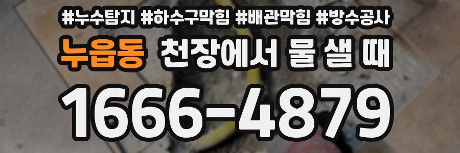 누읍동 천장에서 물 샐 때