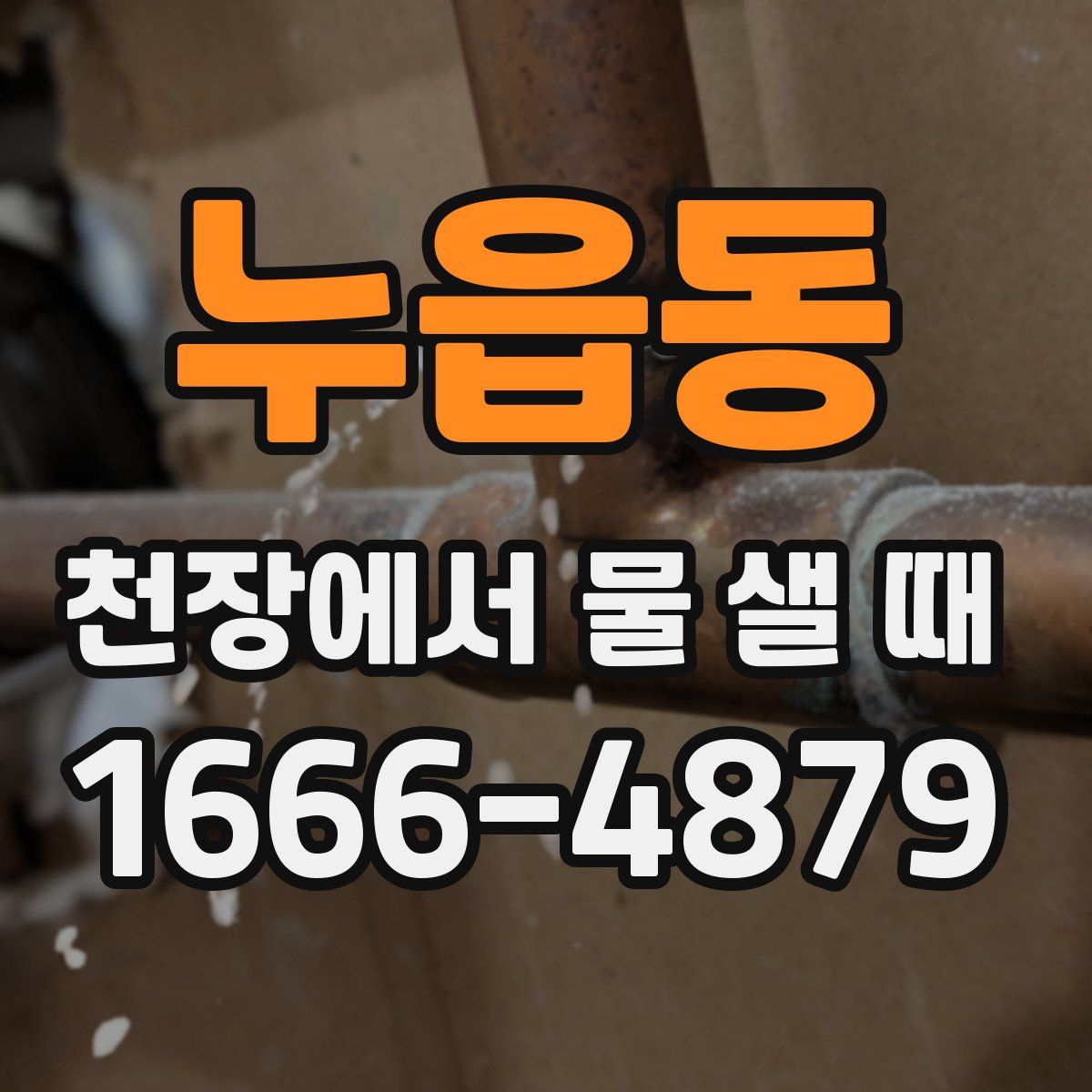 누읍동 천장에서 물 샐 때