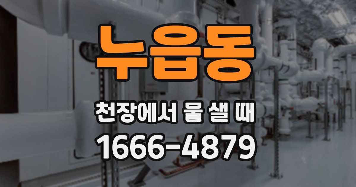 누읍동 천장에서 물 샐 때
