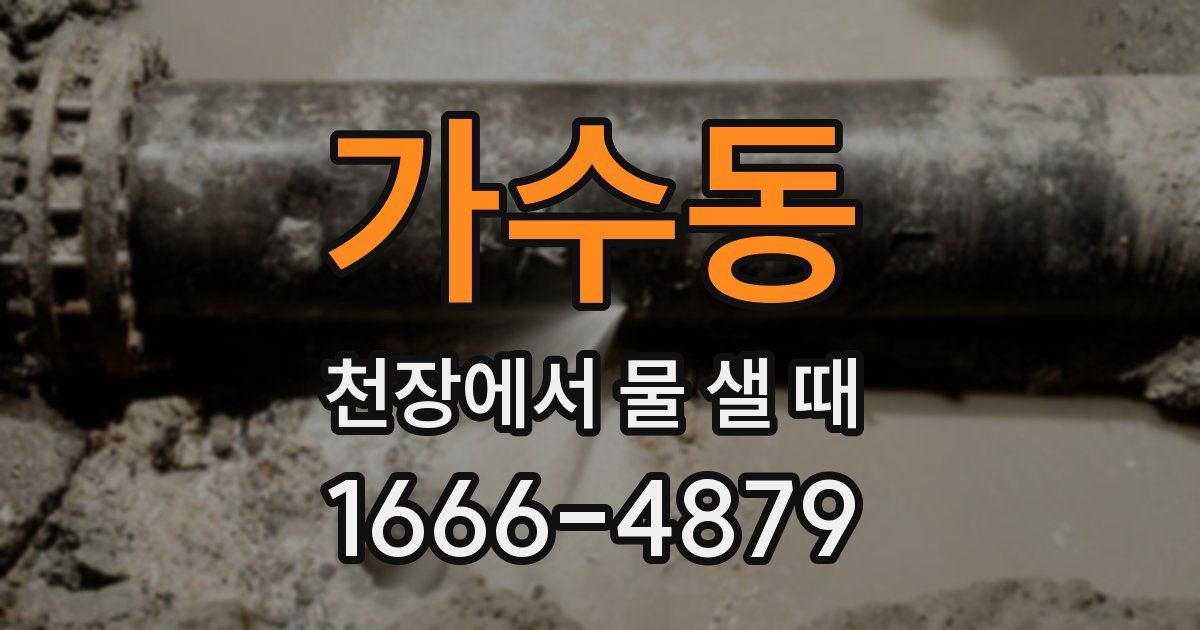 가수동 천장에서 물 샐 때
