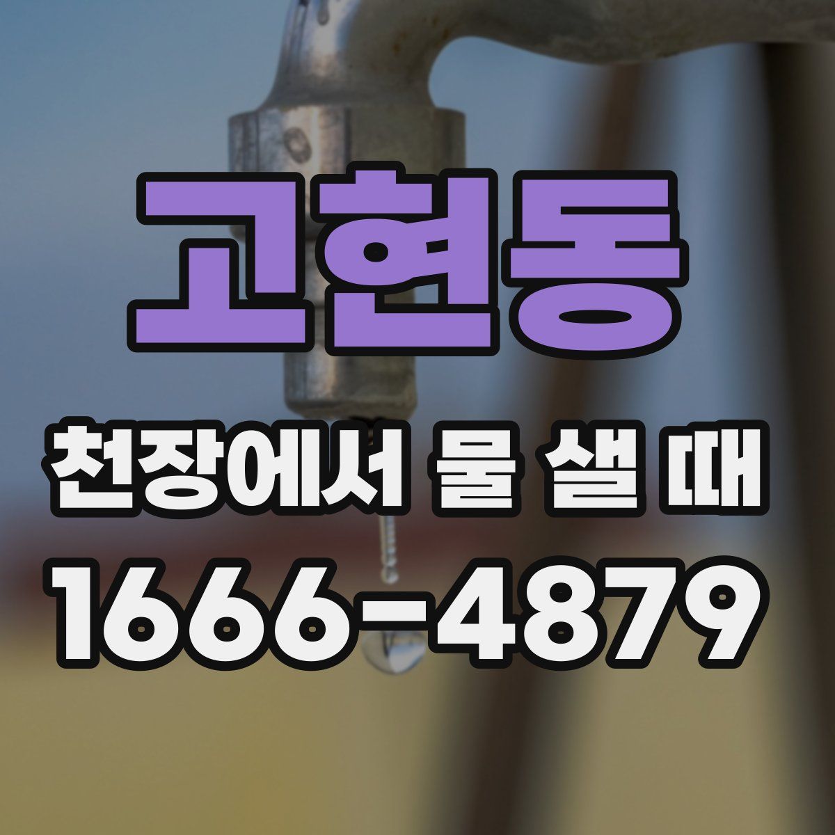 고현동 천장에서 물 샐 때