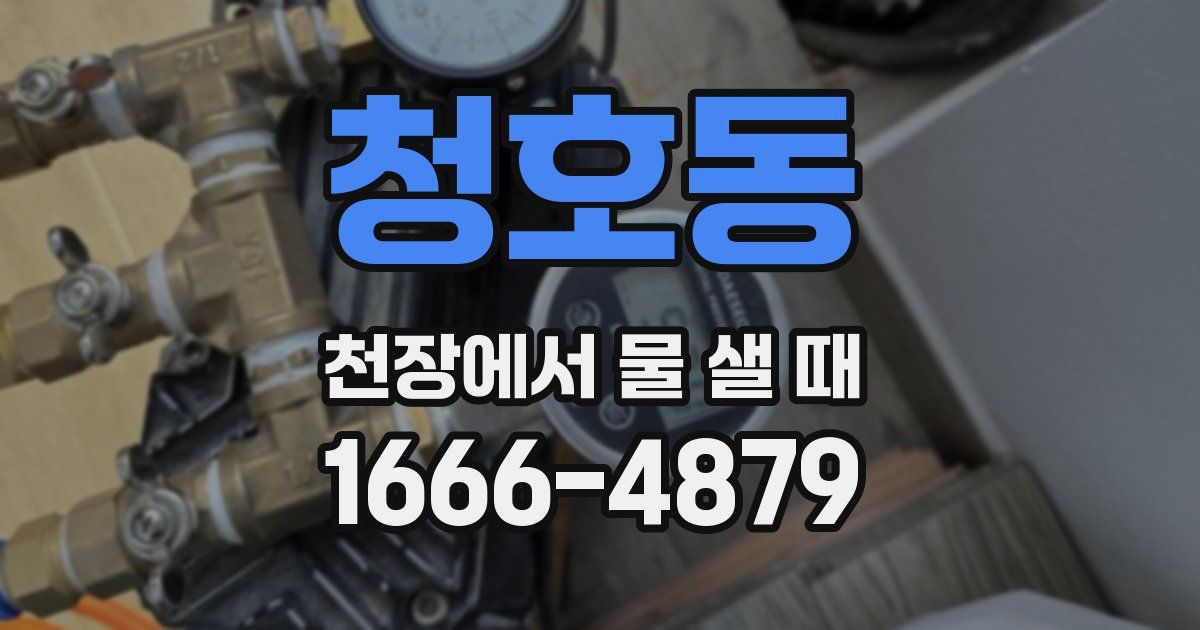 청호동 천장에서 물 샐 때