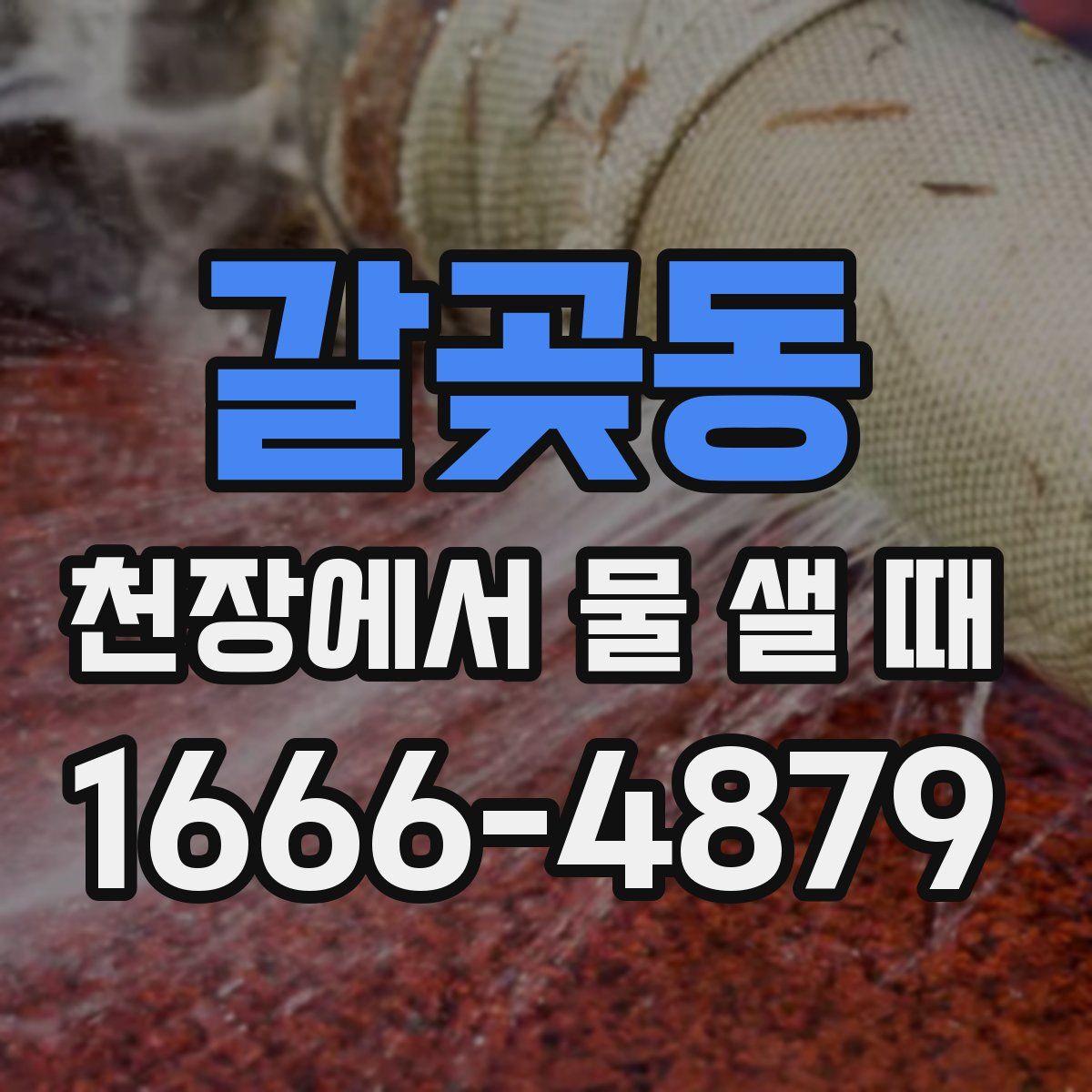 갈곶동 천장에서 물 샐 때