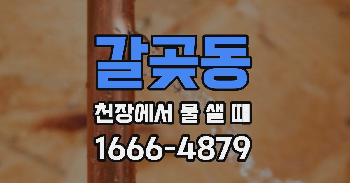 갈곶동 천장에서 물 샐 때
