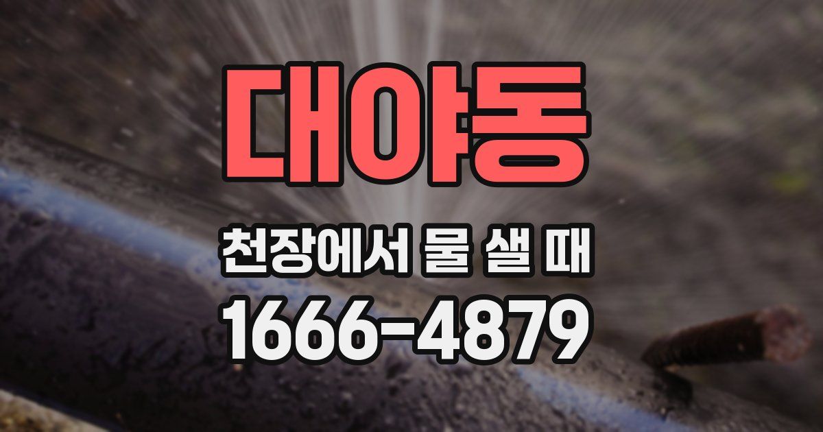 대야동 천장에서 물 샐 때