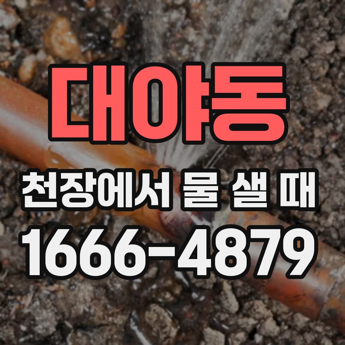 대야동 천장에서 물 샐 때