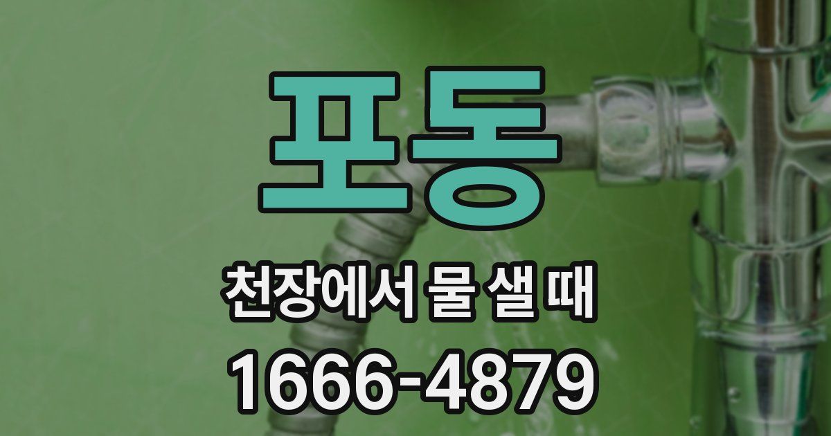 포동 천장에서 물 샐 때