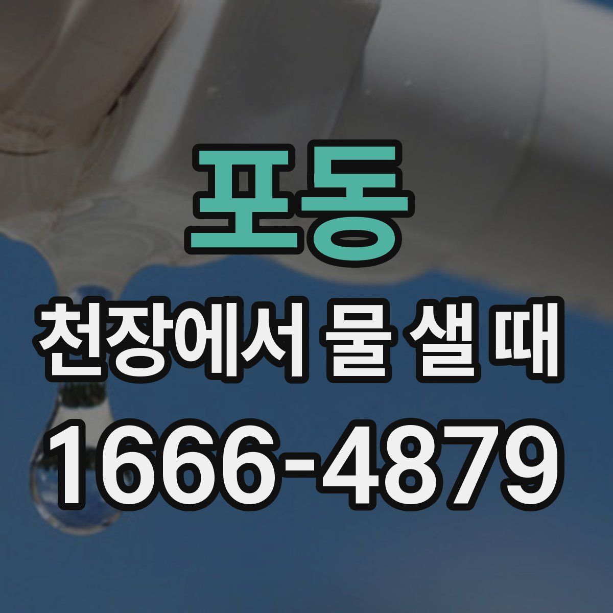 포동 천장에서 물 샐 때
