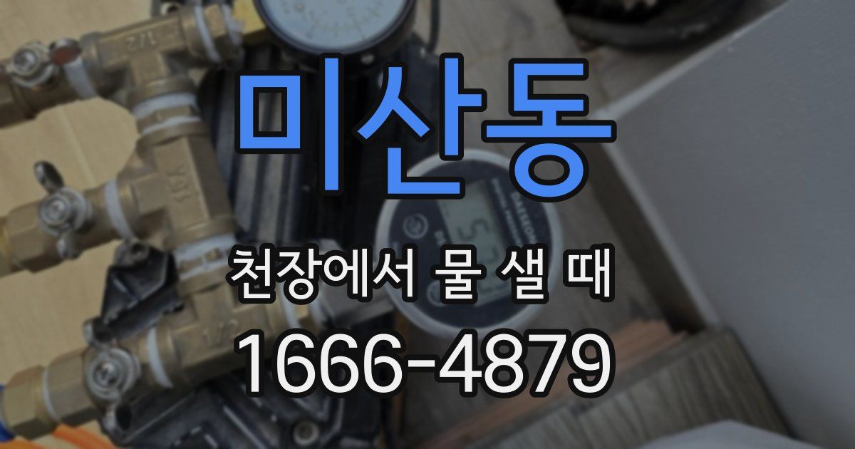 미산동 천장에서 물 샐 때