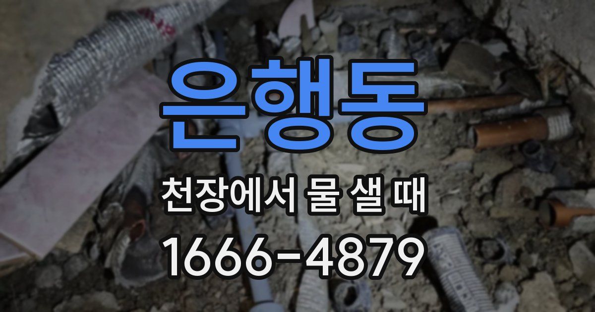 은행동 천장에서 물 샐 때