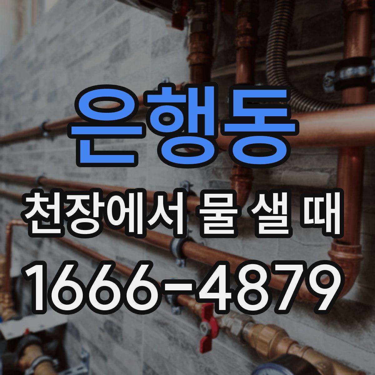 은행동 천장에서 물 샐 때