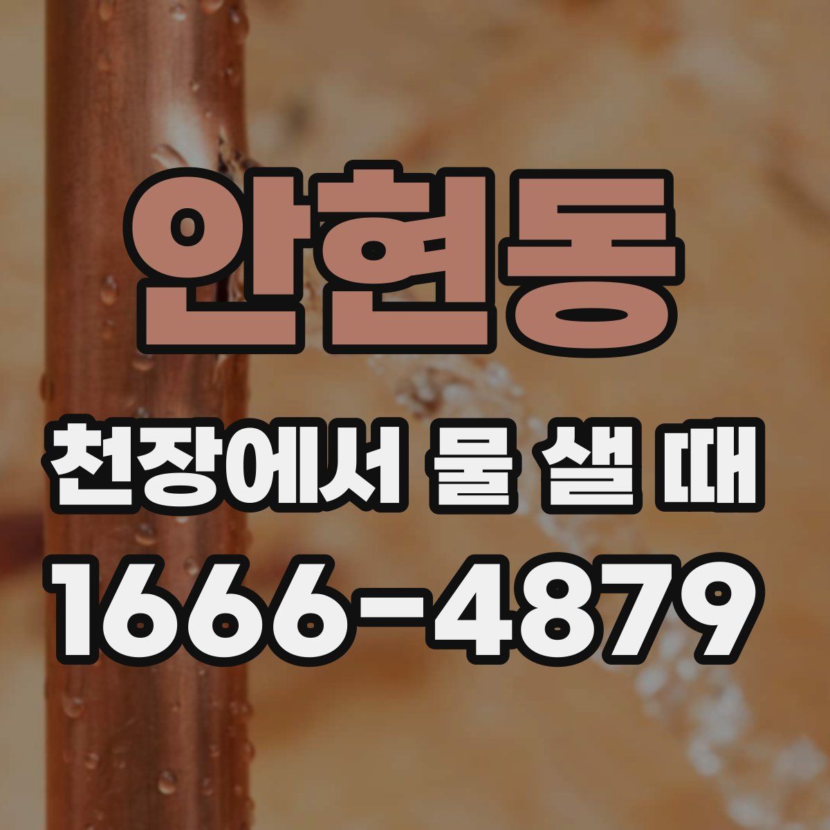 안현동 천장에서 물 샐 때