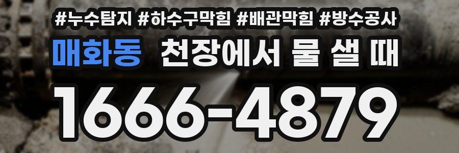 매화동 천장에서 물 샐 때