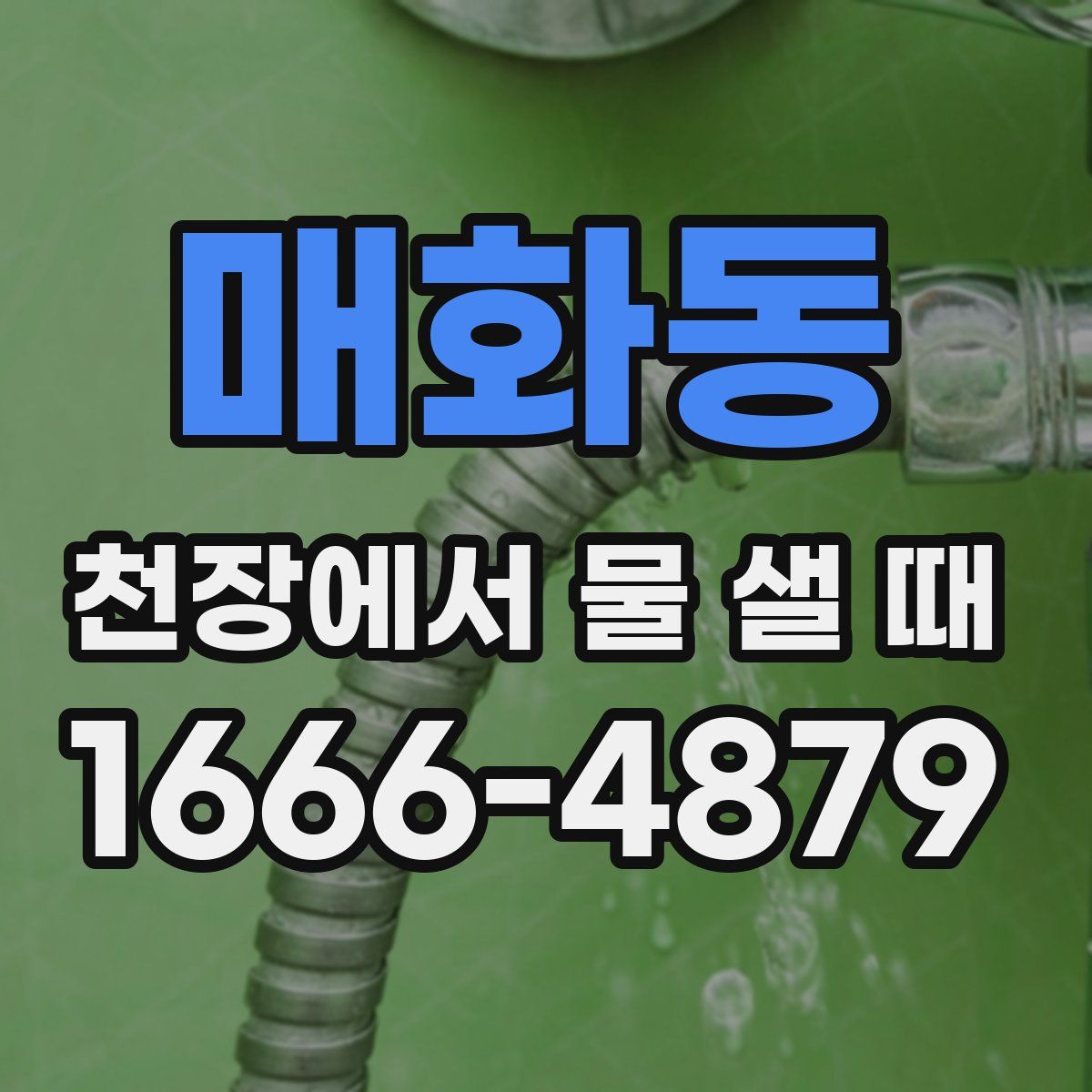 매화동 천장에서 물 샐 때