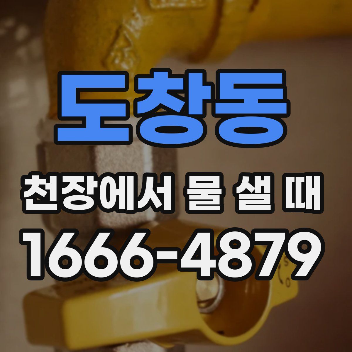 도창동 천장에서 물 샐 때