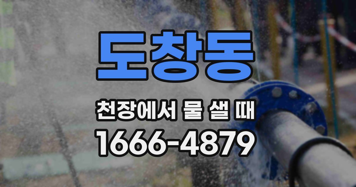 도창동 천장에서 물 샐 때