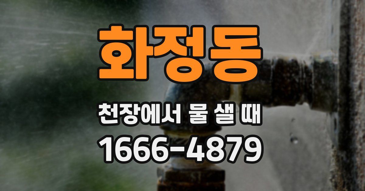 화정동 천장에서 물 샐 때