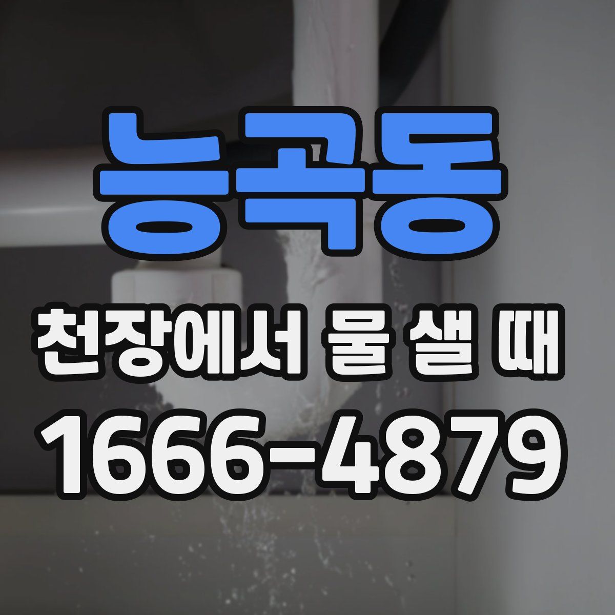 능곡동 천장에서 물 샐 때