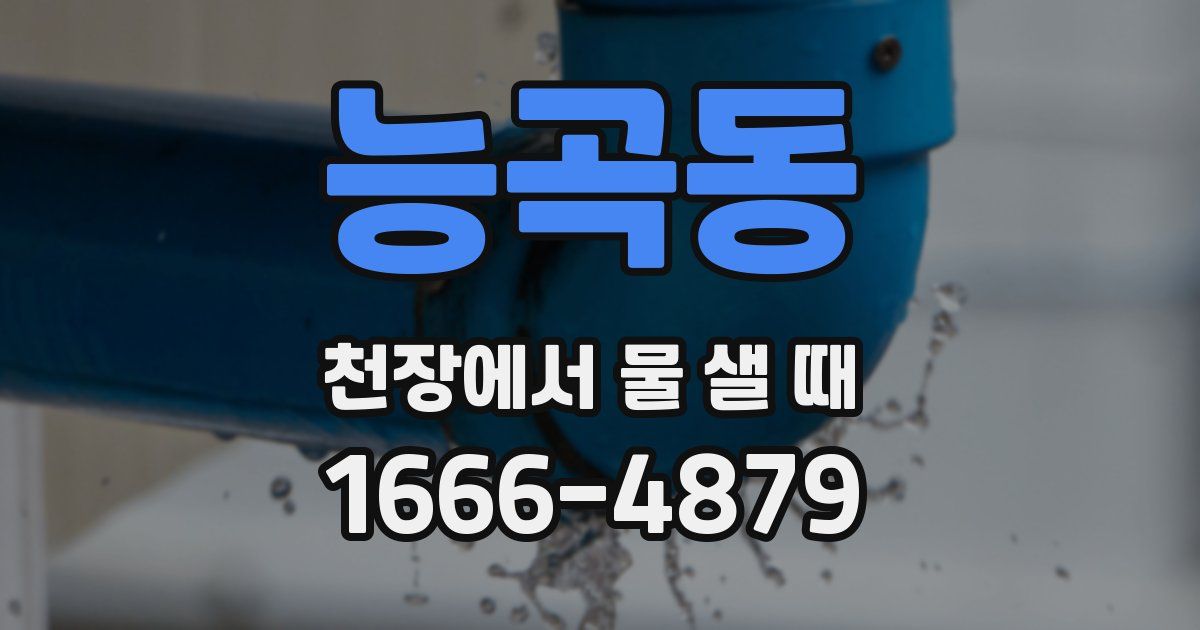 능곡동 천장에서 물 샐 때
