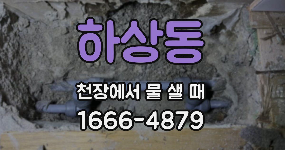 하상동 천장에서 물 샐 때