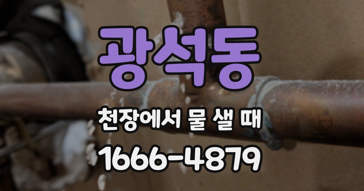 광석동 천장에서 물 샐 때