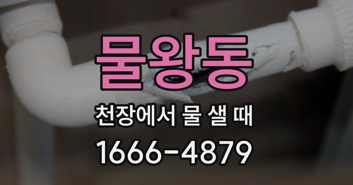 물왕동 천장에서 물 샐 때