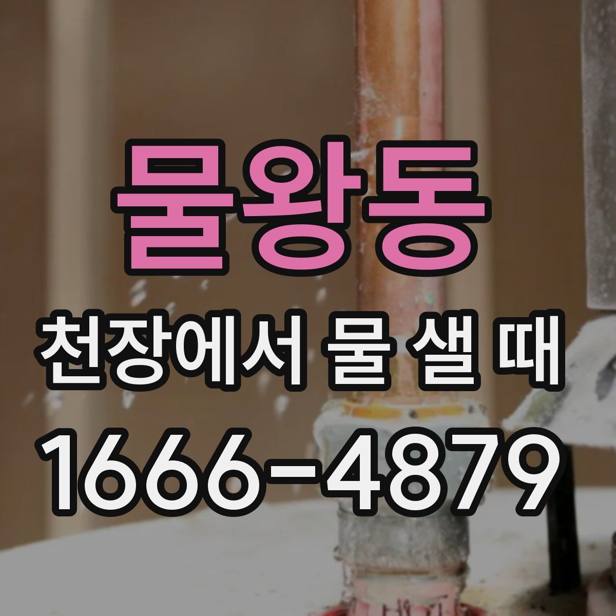 물왕동 천장에서 물 샐 때