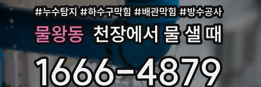 물왕동 천장에서 물 샐 때