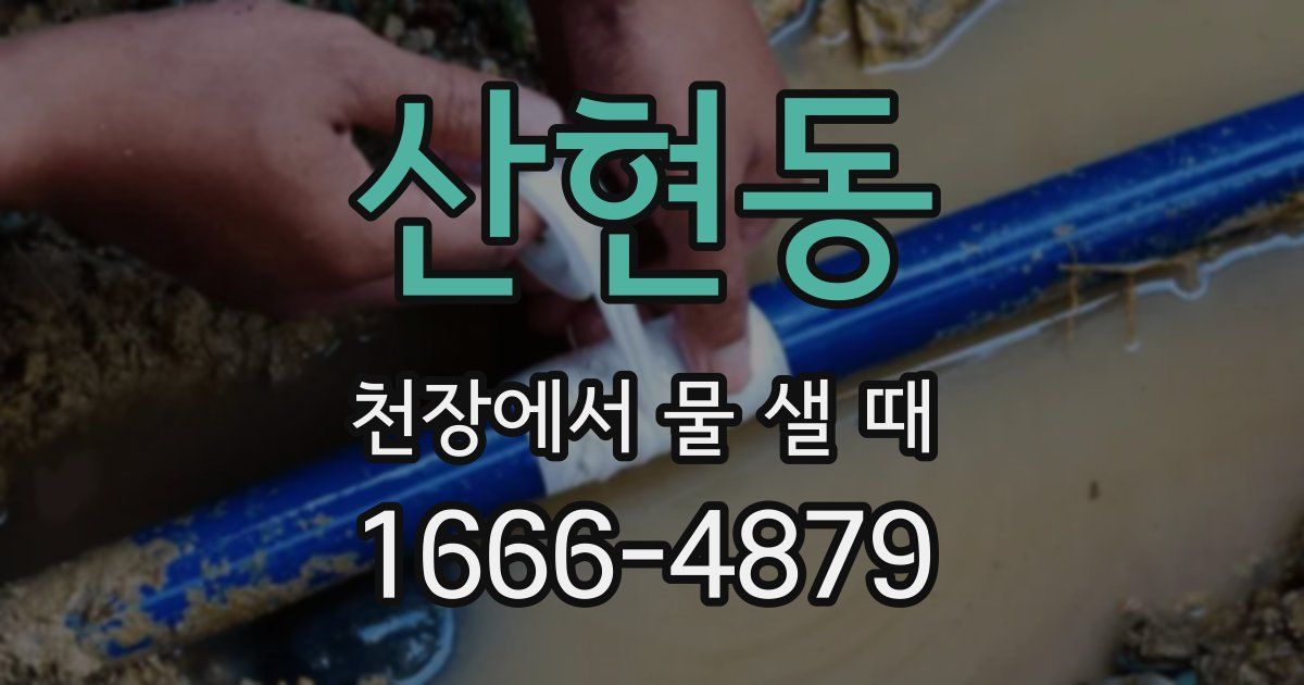 산현동 천장에서 물 샐 때