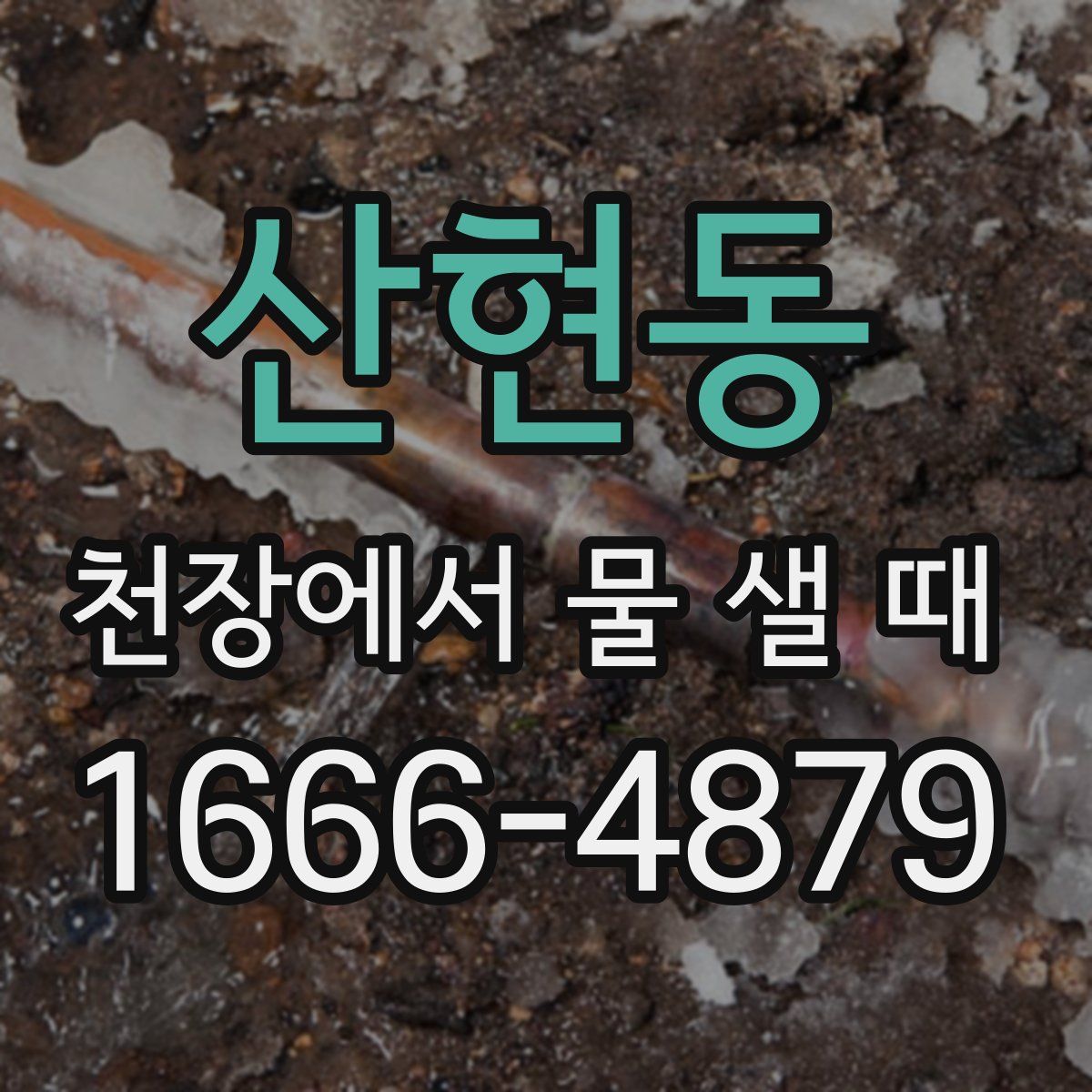 산현동 천장에서 물 샐 때