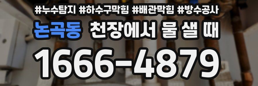 논곡동 천장에서 물 샐 때