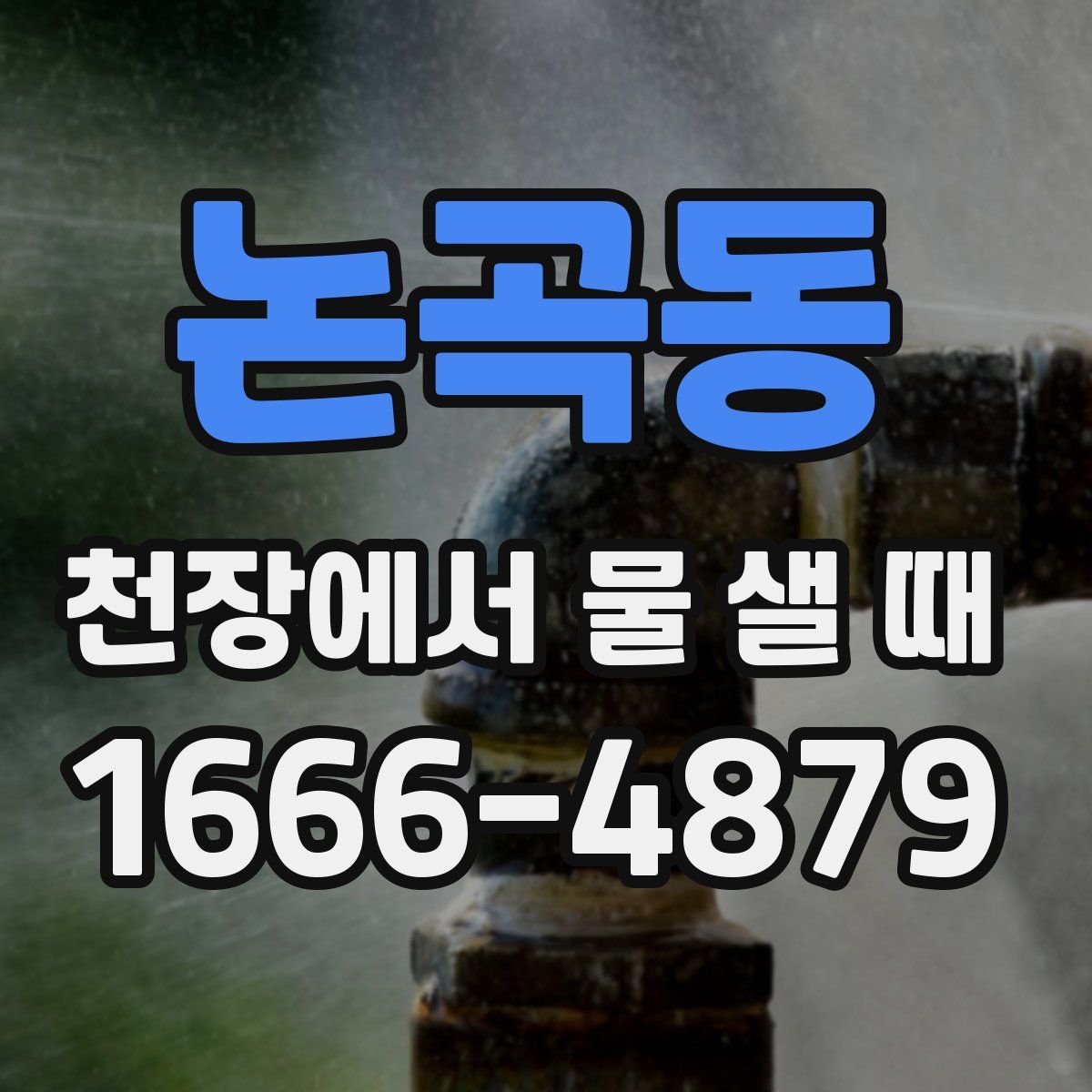 논곡동 천장에서 물 샐 때