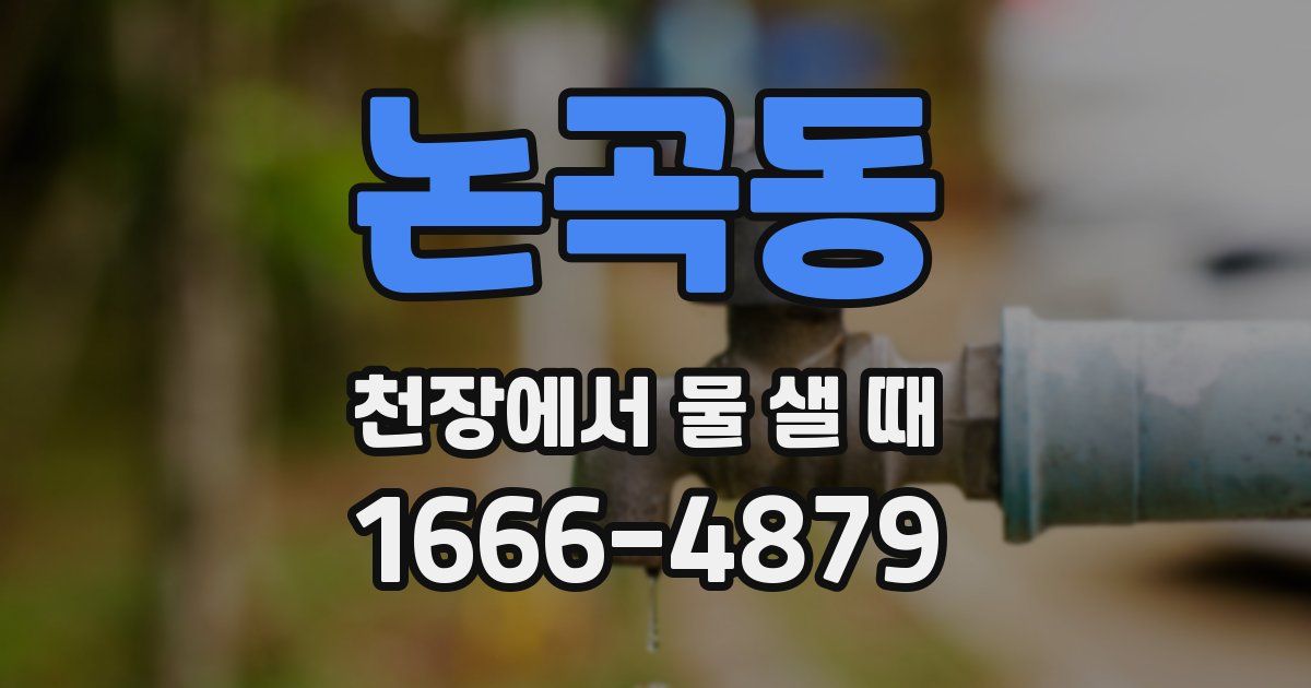논곡동 천장에서 물 샐 때