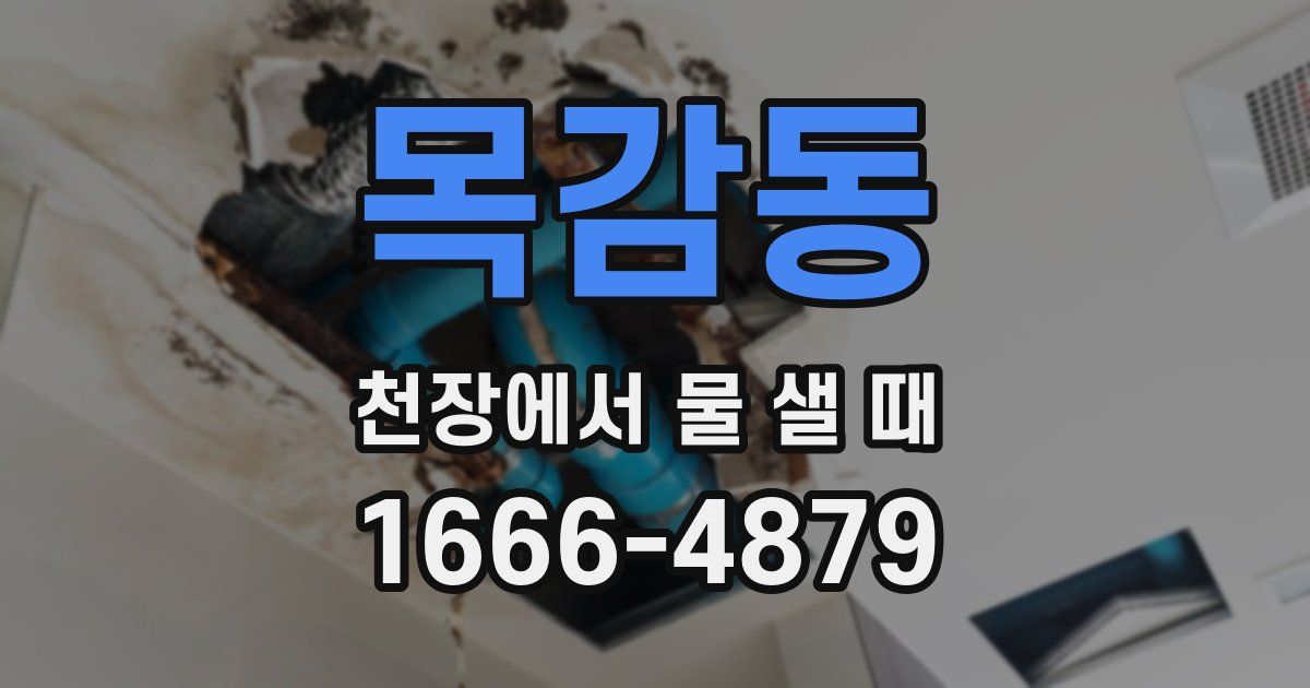 목감동 천장에서 물 샐 때