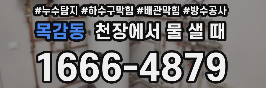 목감동 천장에서 물 샐 때