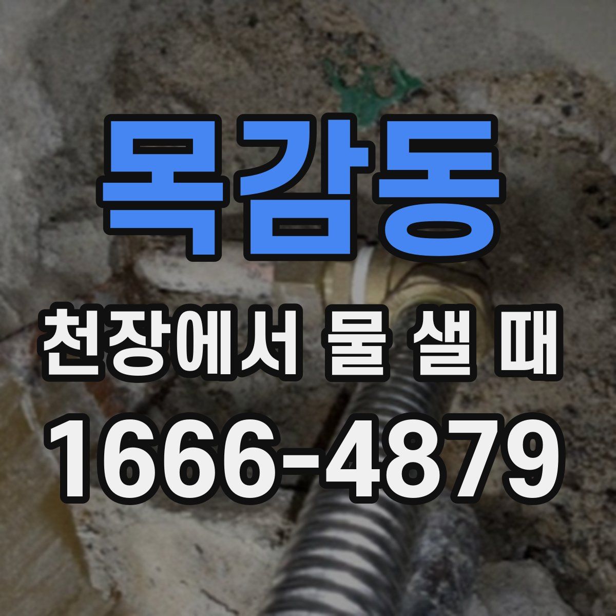 목감동 천장에서 물 샐 때