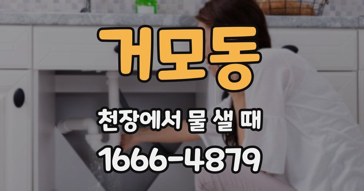 거모동 천장에서 물 샐 때