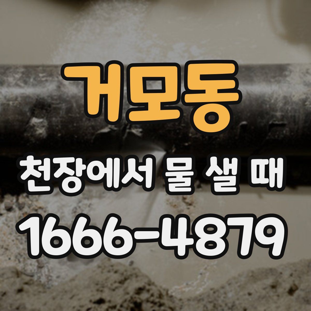 거모동 천장에서 물 샐 때