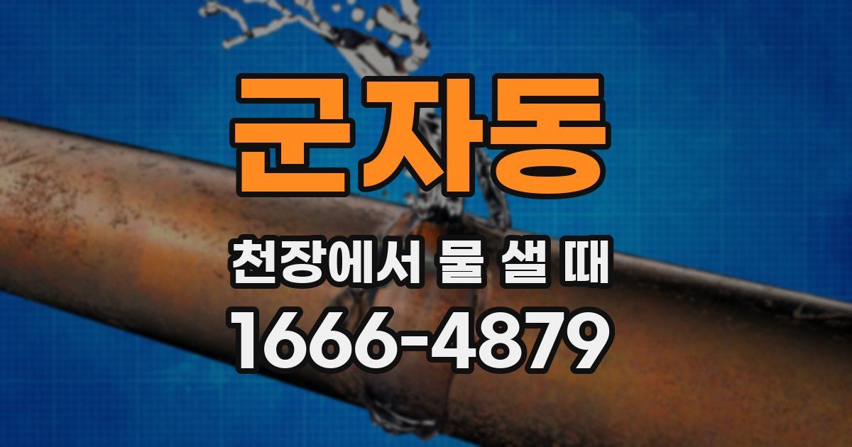 군자동 천장에서 물 샐 때